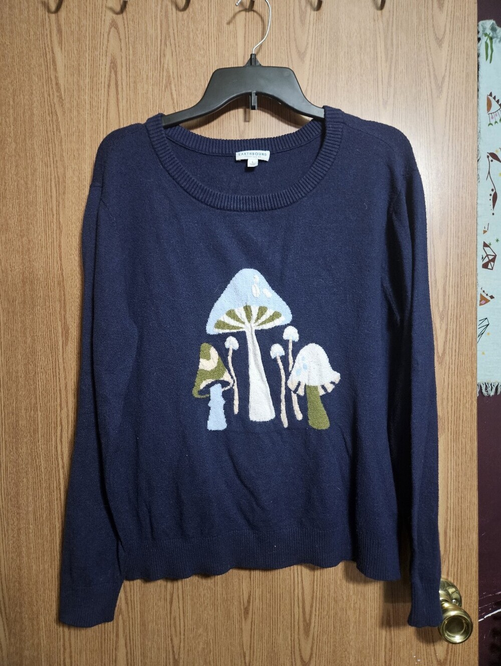 Earthbound Mushroom Graphics Fairycore Cottage Crew Neck Size Large!